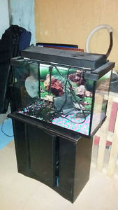 Fish Tank with stand