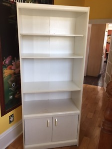 Free Cabinet/Bookshelf