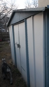 Free Older metal shed
