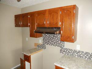 Full kitchen cabinets, counter tops,sink/tap,take all $499