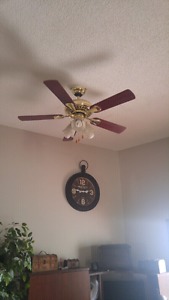 Remote Control Ceiling Fan