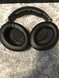 Sennheiser-PXC-450-Headband-Headphones (silver)