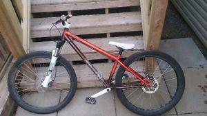 Specialized P2 Dirt Jumper