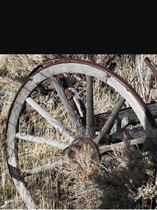 Wagon wheels