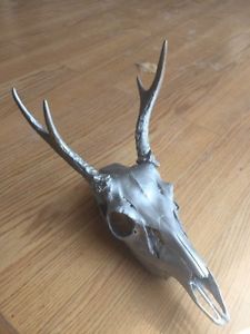 Wanted: Painted deer skull