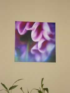 Anyone interested? 3 panel photos of purple flowers