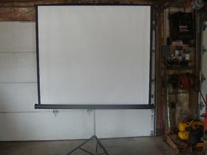Portable screen