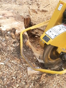 Tree stump grinding.
