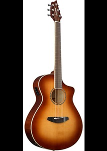 Wanted: Looking for a Breedlove acoustic