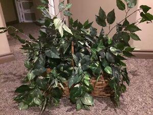 Artificial plant in a basket