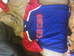 Chicago cubs jersey