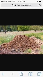 FREE horse manure!