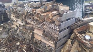 Seasoned ash firewood
