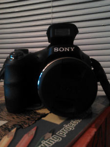 Sony powershot DSC h300 NEED GONE!!