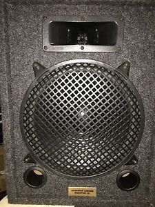 Acoustic Linear Monitor 12's Speaker System