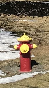 Antique Fire Hydrant