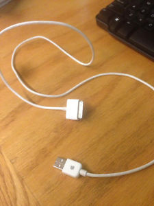 Apple cord for iPod