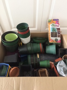 Box of Clean Starter Pots