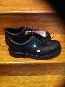 Brand new Terra work shoes size 8. Steel toed.