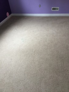 Carpet 14 yrs old in good shape