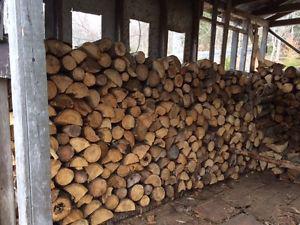 Dry Softwood Firewood For Sale