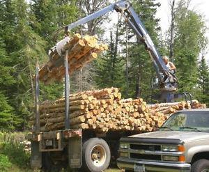 Firewood Hardwood 8ft & random logs delivered
