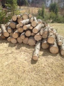 Free Soft Wood Fire Wood