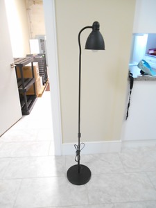 Goose neck Floor Lamp