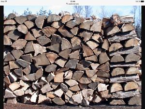 Hardwood and softwood firewood