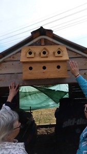Large bird house (open to offers)