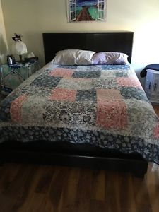 New Seely Queen Size Bed/Frame