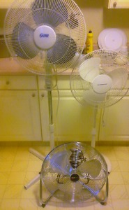 Oscillating fans (3)