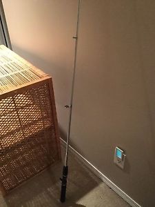 Telescoping fishing pole (no reel)