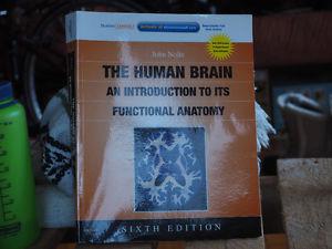The Human Brain: An Introduction to it's Functional Anatomy