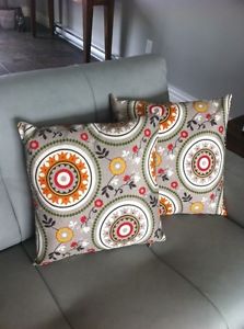 2 outside /inside decorative pillows