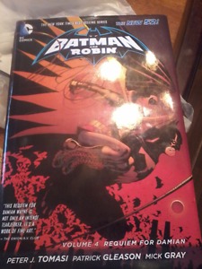 Batman and robin graphic novel