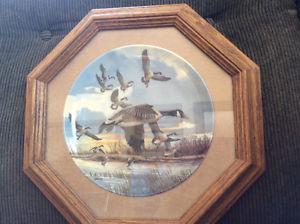 Collector plate Canada Geese. Framed