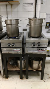 Commercial GAS 2-Burner Stove