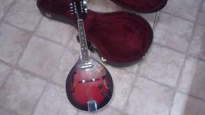 Electric tradition mandolin with case