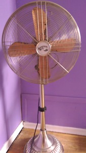 Fan