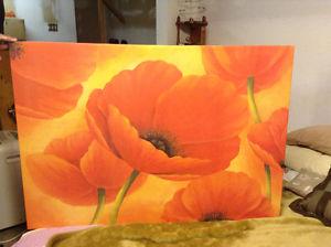 Fun and colourful Poppy Picture