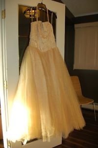Gold Grad Gown
