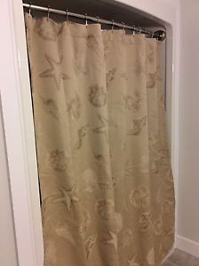 Seashell shower curtain