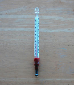 Vintage Floating Dairy Thermometer