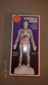Visible Man Anatomy Kit Skillcraft