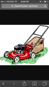 Wanted: Wanted lawnmowers / lawn tractors / snowblower