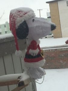 Xmas snoopy