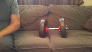 dumbbell with 30 lbs weight