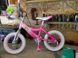 12 inch Girls Bike with Training Wheels