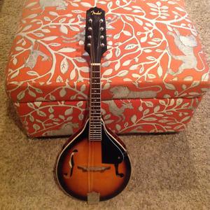 Acoustic mandolin